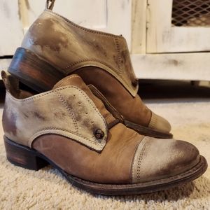 Freebird by Steven Mabel